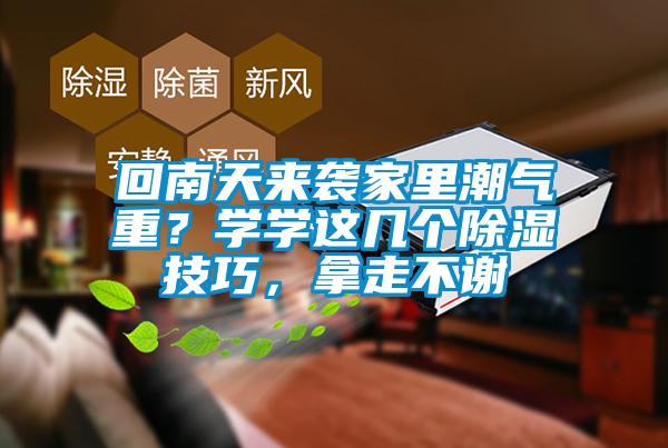 回南天来袭家里潮气重？学学这几个除湿技巧，拿走不谢