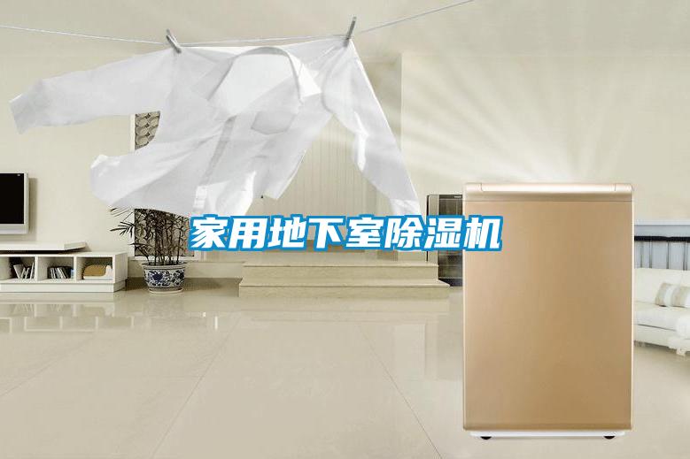 家用地下室小黄片下载安装