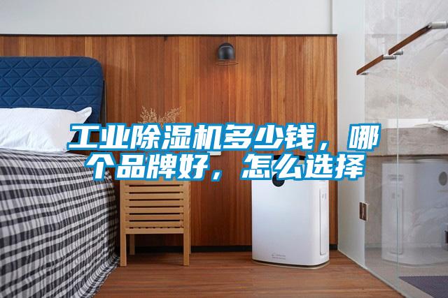 工业小黄片下载安装多少钱，哪个品牌好，怎么选择