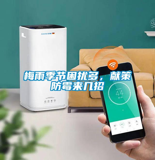 梅雨季节困扰多，献策防霉来几招