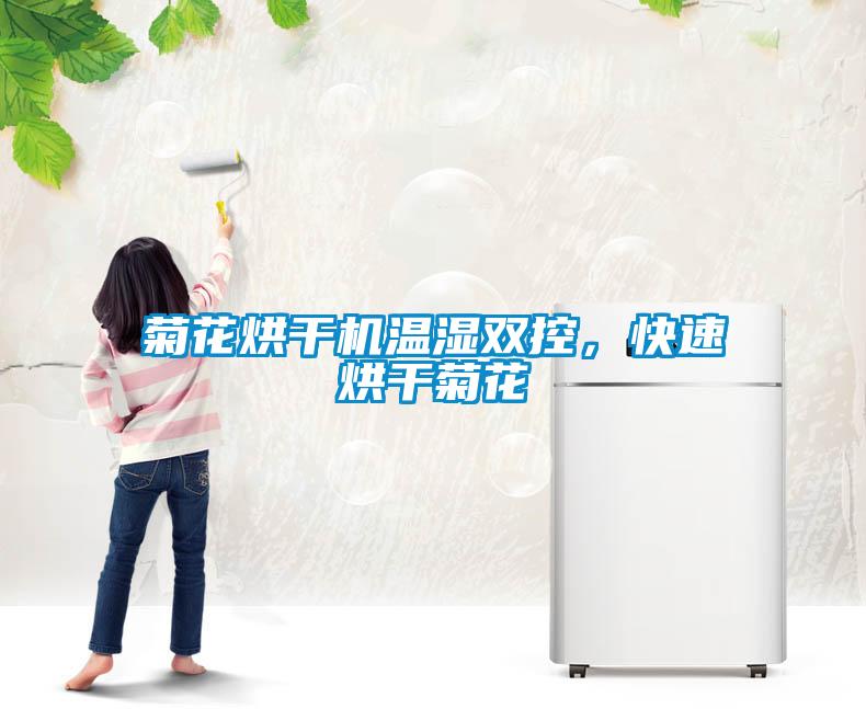 菊花烘干机温湿双控，快速烘干菊花