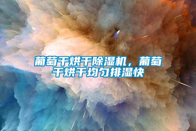 葡萄干烘干小黄片下载安装，葡萄干烘干均匀排湿快