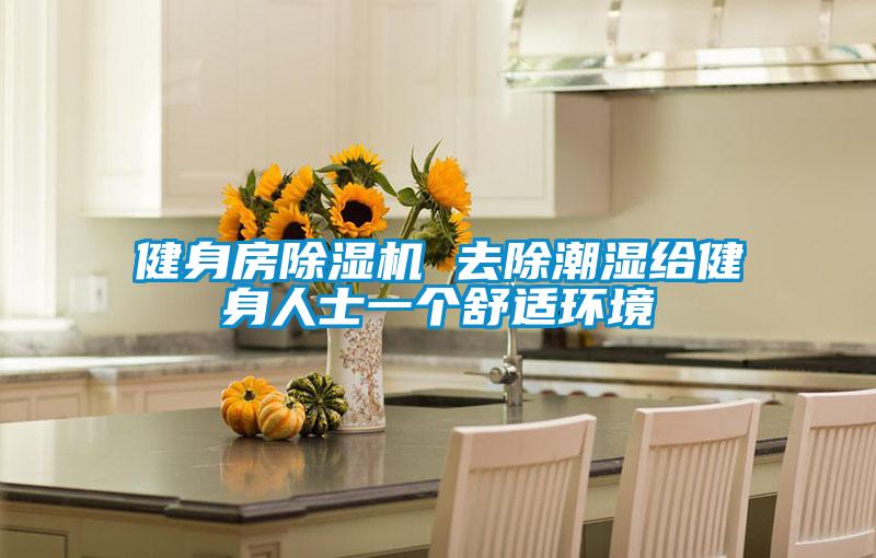 健身房小黄片下载安装 去除潮湿给健身人士一个舒适环境