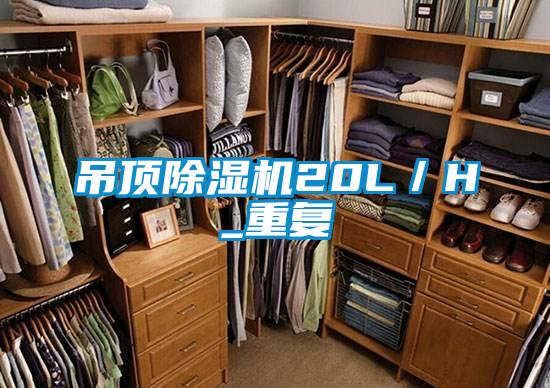 吊顶小黄片下载安装20L／H_重复