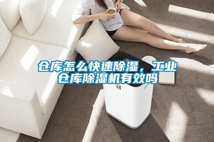 仓库怎么快速除湿，工业仓库小黄片下载安装有效吗