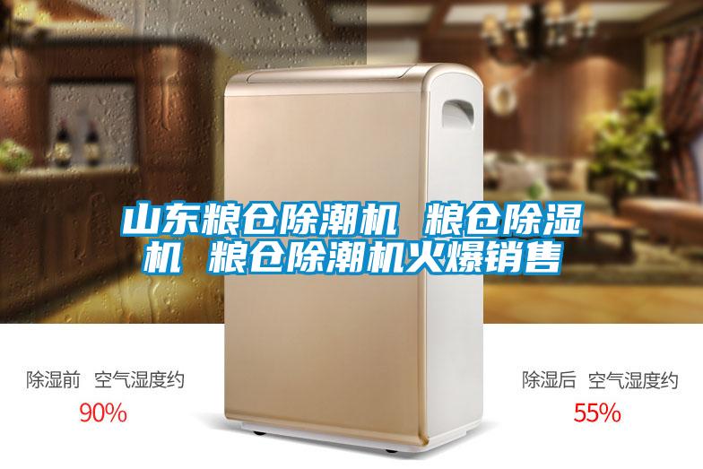 山东粮仓除潮机 粮仓小黄片下载安装 粮仓除潮机火爆销售