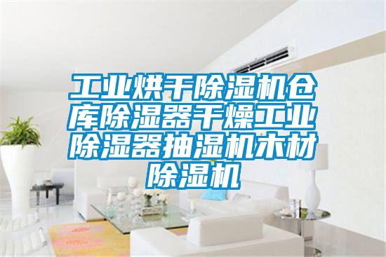 工业烘干小黄片下载安装仓库除湿器干燥工业除湿器抽湿机木材小黄片下载安装