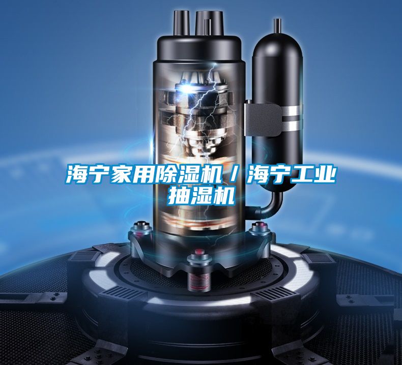 海宁家用小黄片下载安装/海宁工业抽湿机