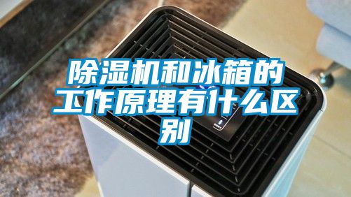 小黄片下载安装和冰箱的工作原理有什么区别