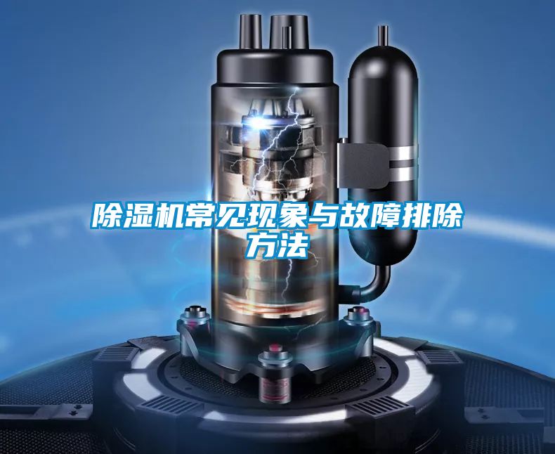 小黄片下载安装常见现象与故障排除方法