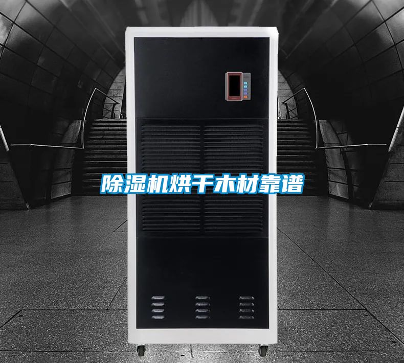 小黄片下载安装烘干木材靠谱