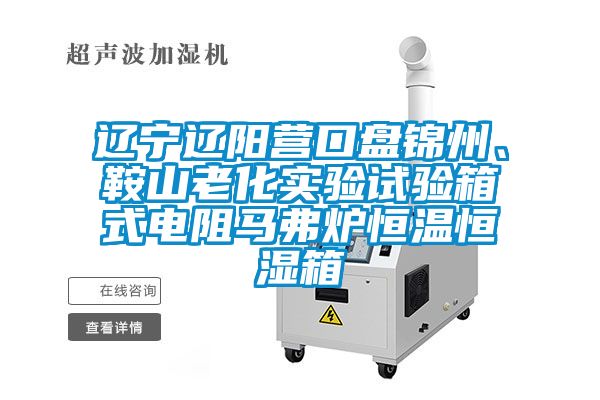 辽宁辽阳营口盘锦州、鞍山老化实验试验箱式电阻马弗炉恒温恒湿箱