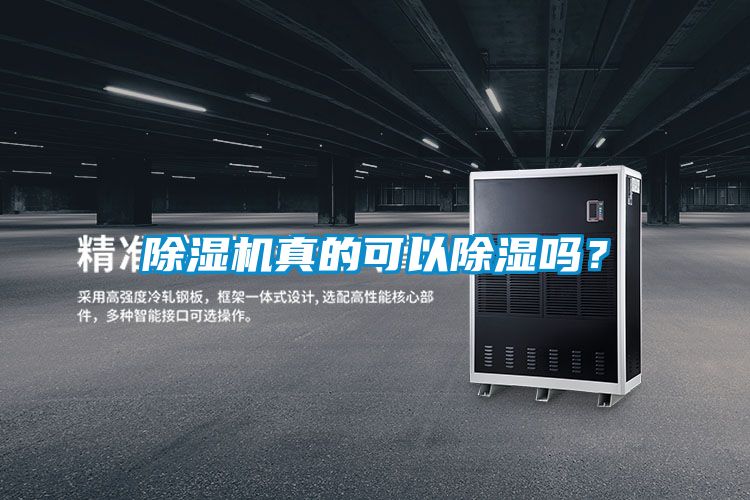 小黄片下载安装真的可以除湿吗？