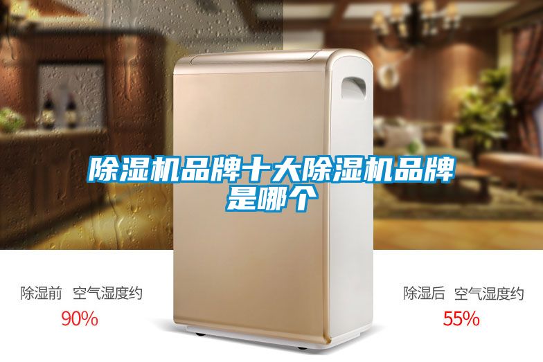 小黄片下载安装品牌十大小黄片下载安装品牌是哪个