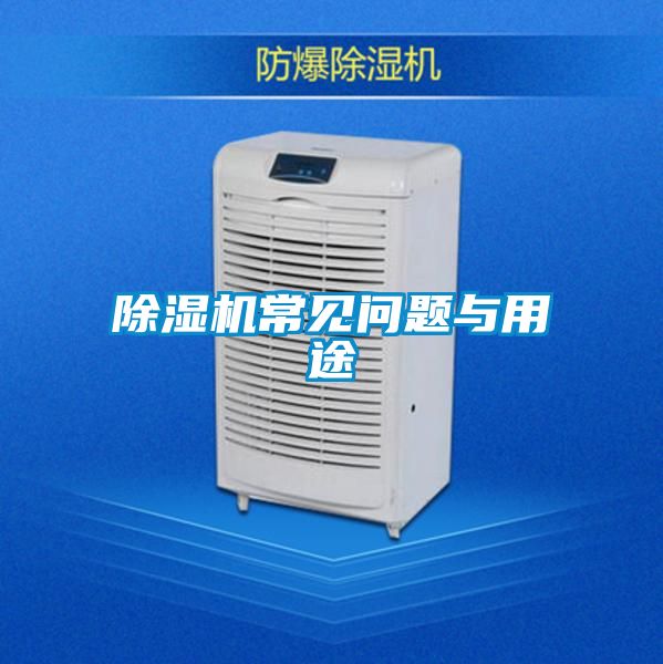 小黄片下载安装常见问题与用途