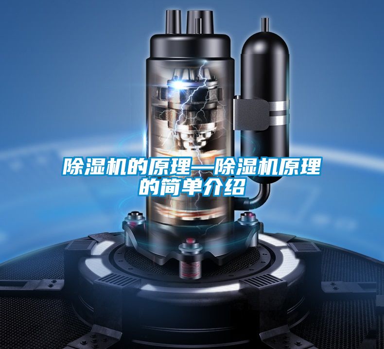 小黄片下载安装的原理—小黄片下载安装原理的简单介绍