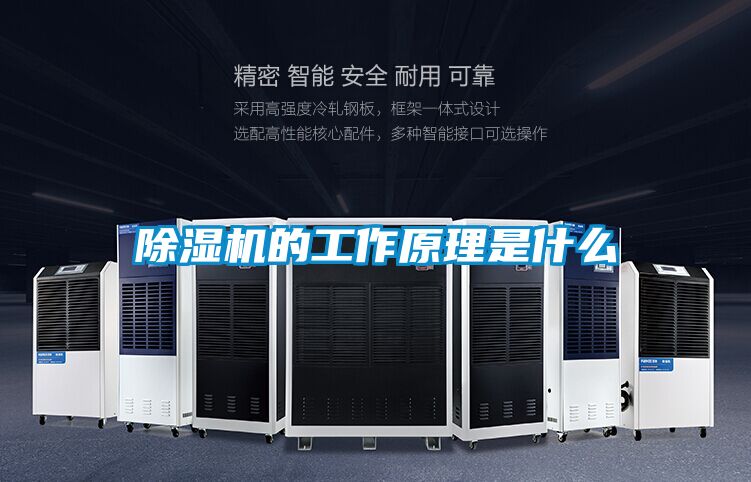 小黄片下载安装的工作原理是什么