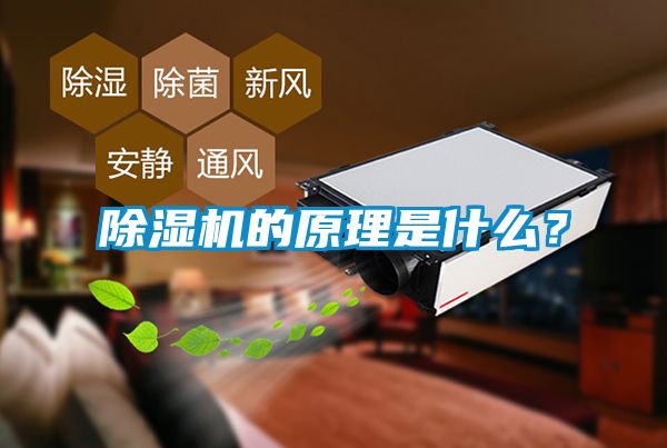 小黄片下载安装的原理是什么？