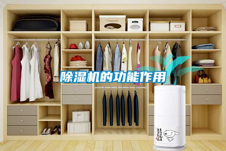 小黄片下载安装的功能作用