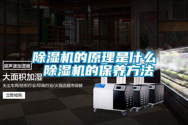 小黄片下载安装的原理是什么 小黄片下载安装的保养方法