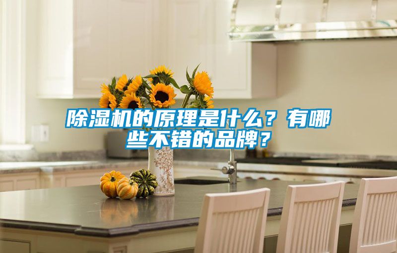 小黄片下载安装的原理是什么？有哪些不错的品牌？