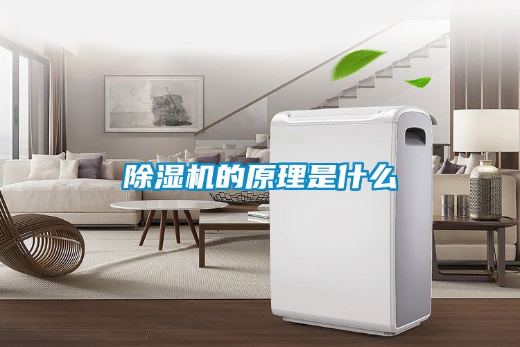 小黄片下载安装的原理是什么