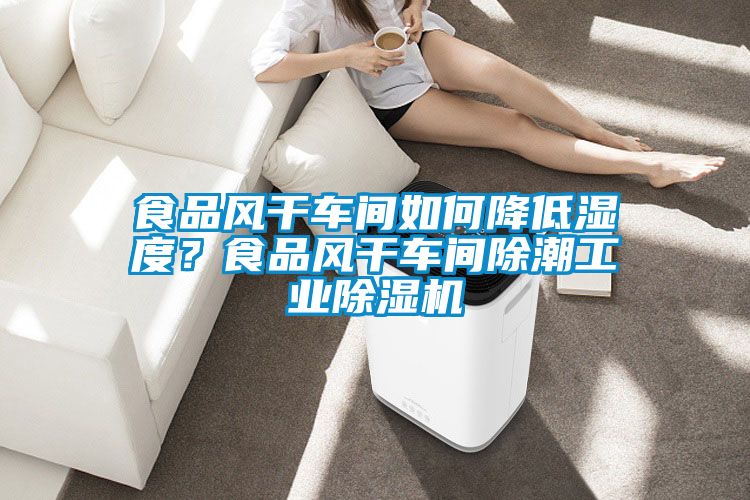 食品风干车间如何降低湿度？食品风干车间除潮工业小黄片下载安装